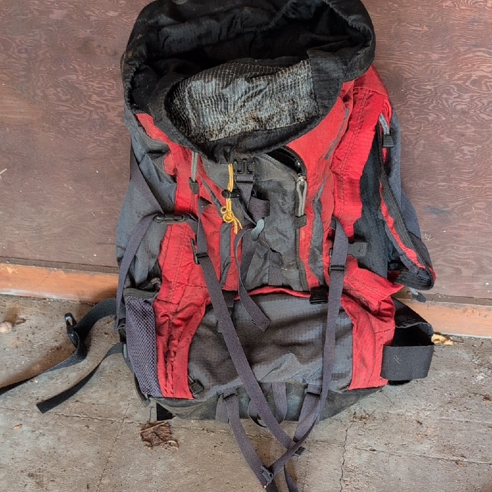 Red and Black Backpack